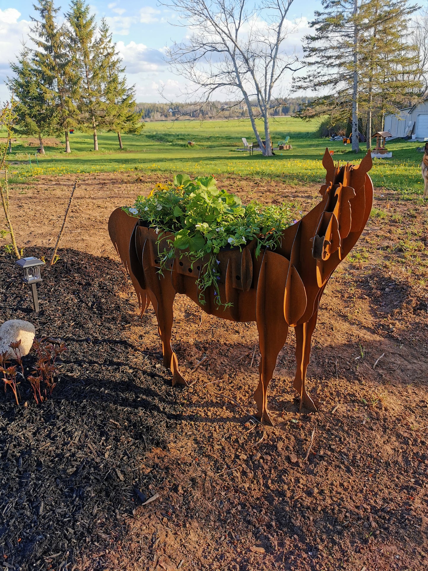 Horse Firepit/Flower Pot